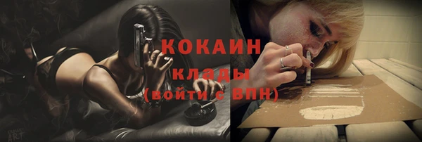 мдпв Горняк