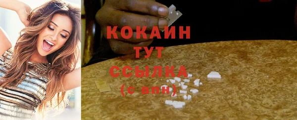 мдпв Горняк