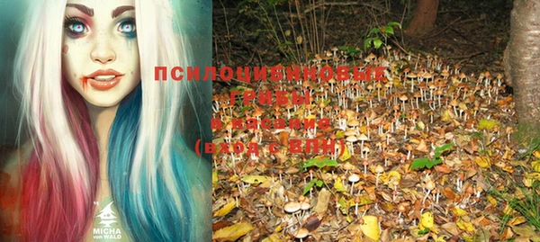 мет Горнозаводск