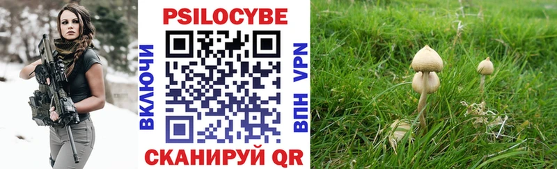 Галлюциногенные грибы прущие грибы  Купить где  Волчанск 